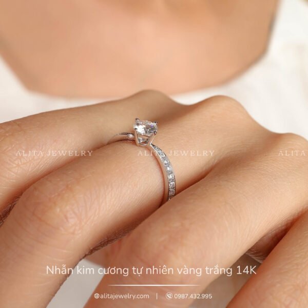 Nhẫn kim cương nhỏ nhắn và vàng trắng 14K NN025
