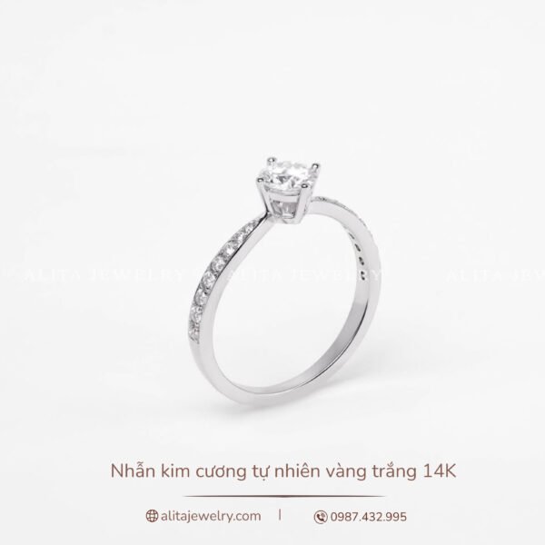 Nhẫn kim cương đính kim vàng trắng 14K NN025