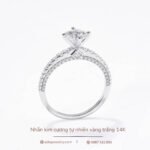 Nhẫn kim cương sang trọng vàng trắng 14K NN026