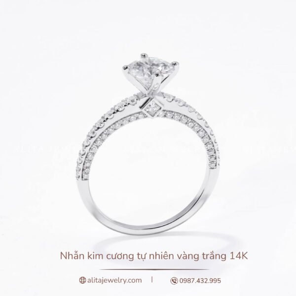 Nhẫn kim cương sang trọng vàng trắng 14K NN026