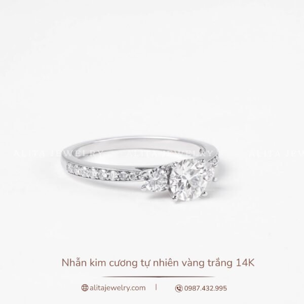 Nhẫn kim cương đính kim vàng trắng 14K NN027