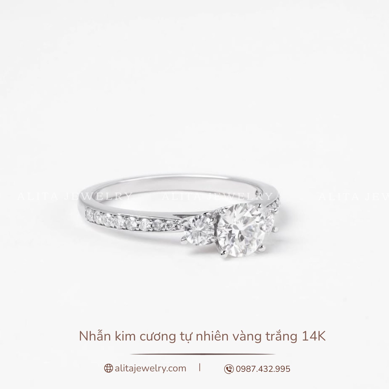 nhan4 (2) Nhẫn kim cương đính kim vàng trắng 14K NN027
