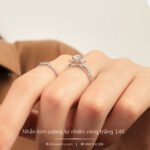 Nhẫn kim cương đính kim vàng trắng 14K NN027